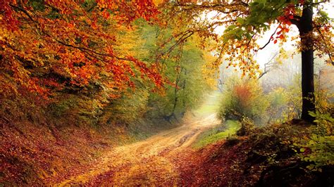 1600x900 Autumn Road 1600x900 Resolution Hd 4k Wallpapers Images