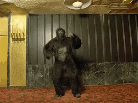 Im The Man Gorilla Dance  Im The Man Gorilla Dance Showing Strength Discover And Share S