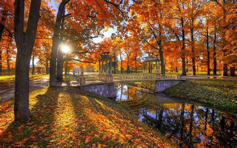 Park Bäume Rote Blätter Herbst Brücke Sonnenstrahlen Fluss
