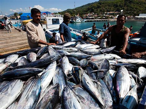 Dalam pertemuannya menteri pertanian dan industri asas tani malaysia malaysia, susi menyampaikan upaya indonesia dalam memberantas iuu fishing yang telah membuahkan hasil positif. Juni 2018, Daya Beli Sektor Kelautan dan Perikanan ...