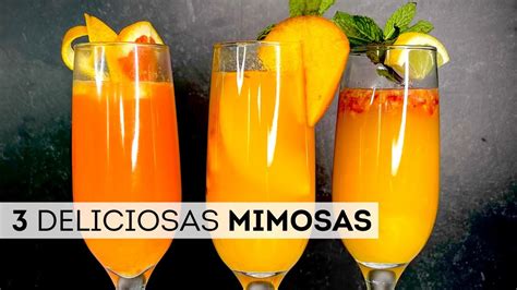 3 Deliciosas Mimosas Como Hacer Las Mejores Mimosas Youtube