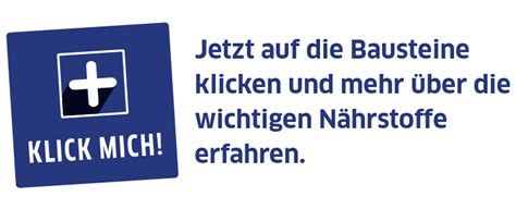 Paul träumt der deutschen grammatik. Ernährungsbausteine | Bebivita