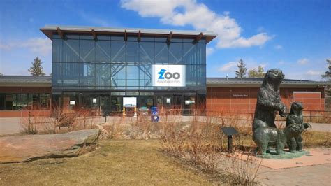 Assiniboine Park Zoo To Reopen With Covid 19 Restrictions Chrisdca