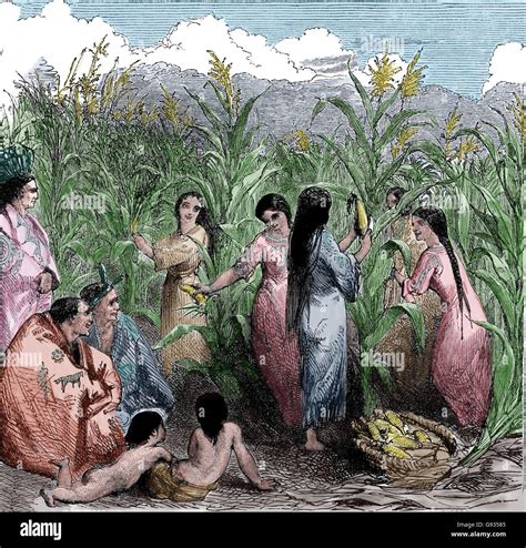 Amerika Indianer Menschen Ernte Mais Kupferstich 19 Jahrhundert