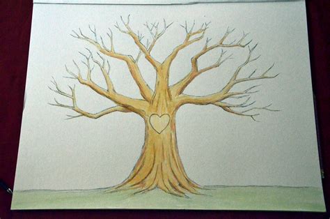 Tree Without Leaves Drawing At Explore Collection
