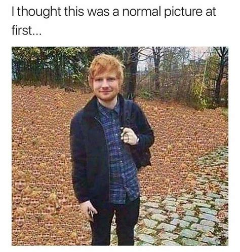 Imet ed sheeran today and a gust of wind made my pic with him 10x more exciting. 17 Ridiculous Ed Sheeran Memes To Get You Laughing Out Loud | Ed sheeran memes, Laugh out loud ...