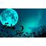 The Blue Moon HD Wallpapers  PixelsTalkNet