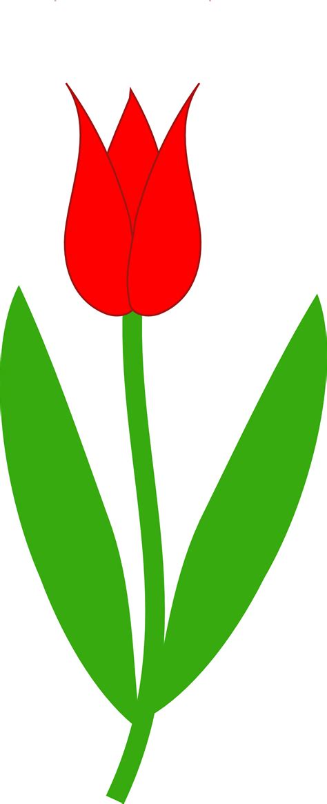 Tulip Line Drawing Clipart Best