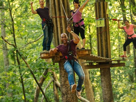 Go Ape Zipline And Adventure Park Raleigh All You Need To Know Before