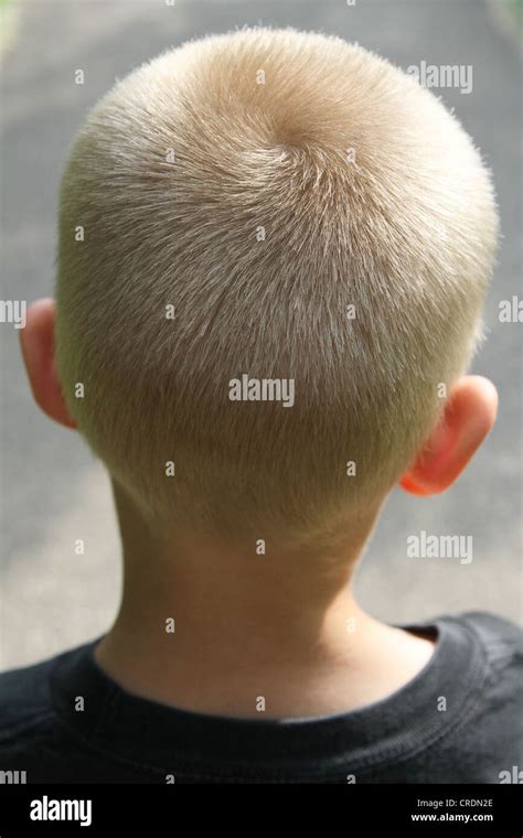 Back Of A Young Boys Head Hi Res Stock Photography And Images Alamy