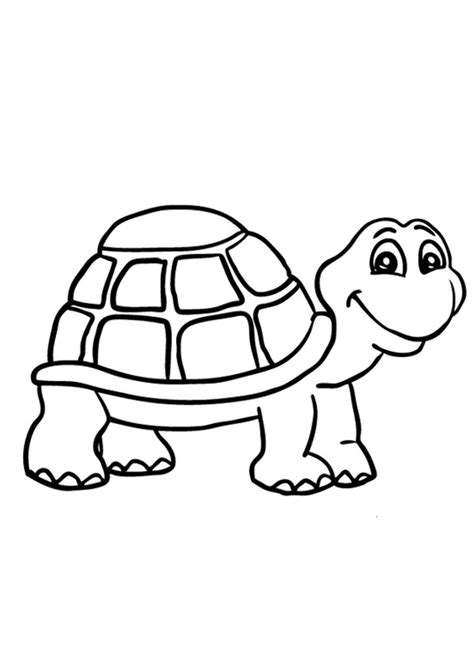Coloring Pages Turtle Coloring Page