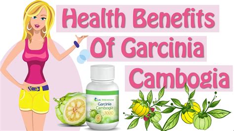 garcinia cambogia extract weight loss pills youtube
