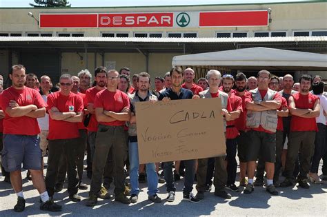 Cadla Firmato Il Passaggio A Conad Dei Dipendenti Di Punti Vendita