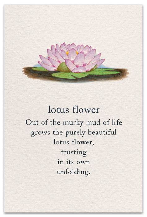 Lotus Flower Support And Encouragement Card Flower