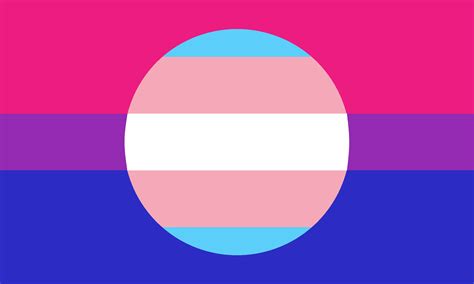 Bi Flag With Trans Insert Rqueervexillology