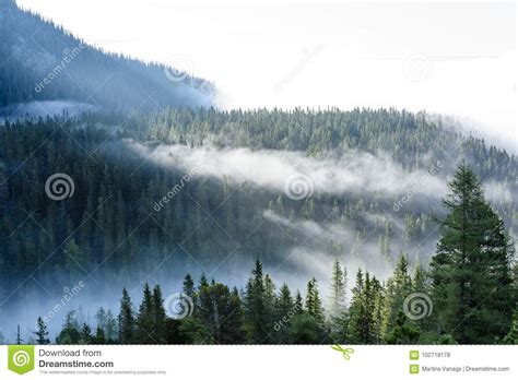Mist Covered Mountains With Forests Stock Photo Image Of Haze Bank