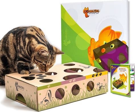 Cat Amazing Best Cat Toy Ever Interactive Treat Maze And Puzzle Toy