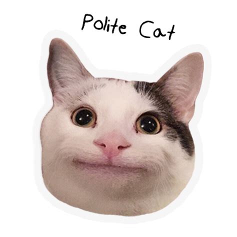 Polite Cat Teh Meme Wiki Fandom
