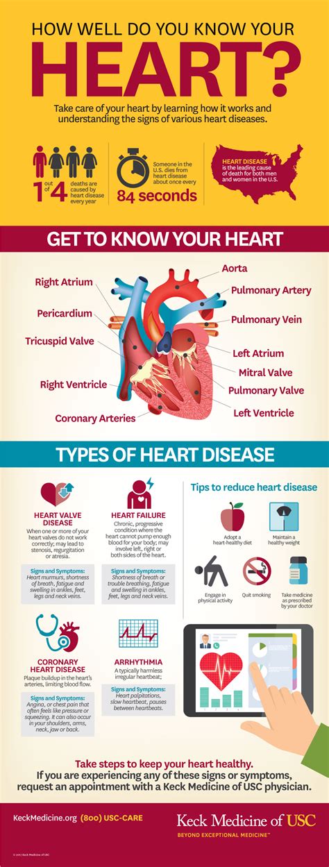 Five Ways To Keep Your Heart Healthy