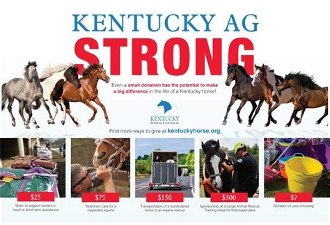 Kentucky Horse Council Make Your 2021 Contribution To The Kentucky