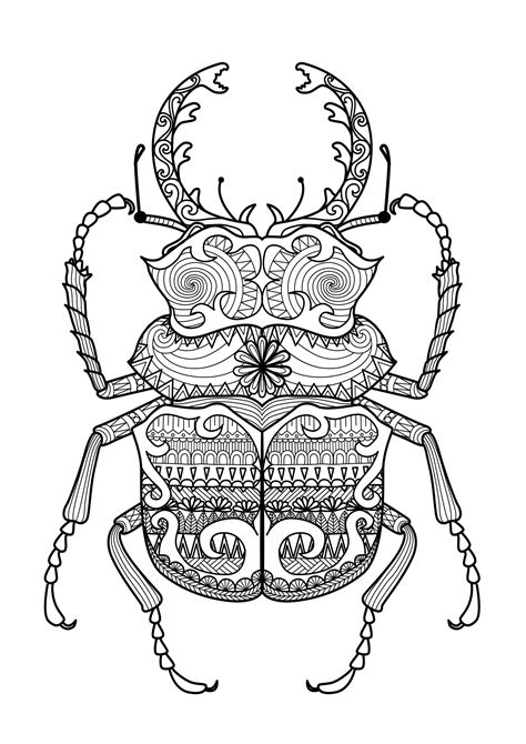 zentangle beetle zentangle adult coloring pages