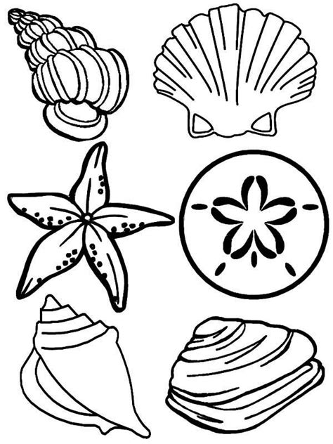 Sand Dollar Coloring Pages