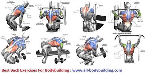 Back Exercises For Bodybuilding Workout Routine For Men Back Exercises Good Back Workouts