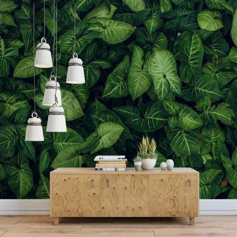 3d Tropical Rainforest Wallpapers Top Free 3d Tropical Rainforest