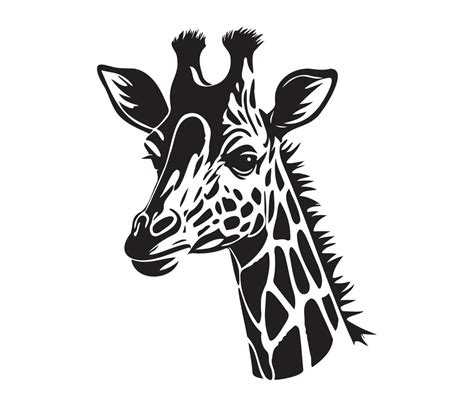 Giraffe Face Silhouettes Giraffe Face Black And White Giraffe Vector