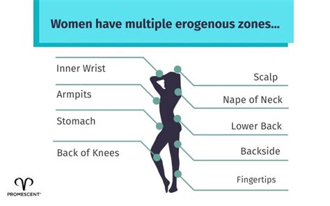 Erogenous Zones Chart Women Telegraph