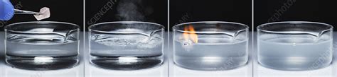 Sodium reacts with water - Stock Image - C050/4740 - Science Photo Library