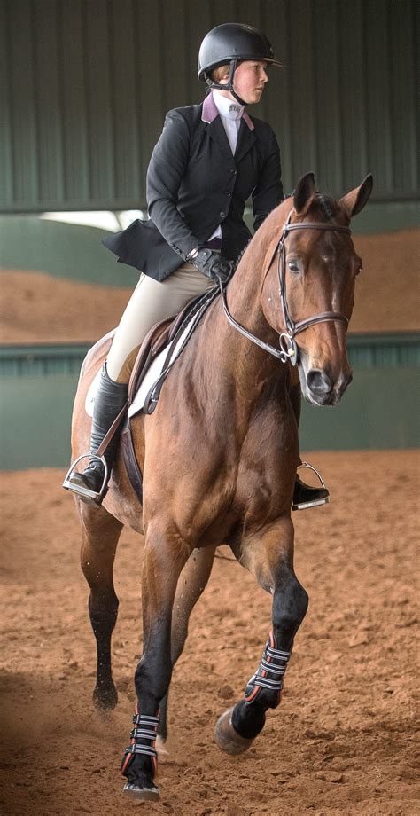 How Equestrian Competition Works Tcu Magazine