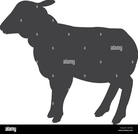 Sheep Silhouette Icon Stock Vector Image Art Alamy