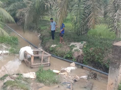 Perusahaan Sawit Di Riau Diduga Buang Limbah Ke Sungai Kebencanaan