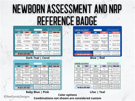 Newborn Assessment Nrp Quick Reference Badge Buddy Card Etsy