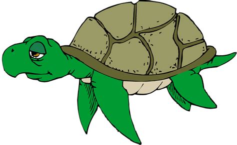 Cute Turtle Clip Art Free Clipart Images 2 Clipartix
