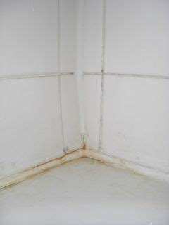 It is the most common cause of sick building syndrome and can produce mycotoxins, toxic substances to both humans and animals. Bathroom Mold: Identify, Prevent and Remove Black Mold ...
