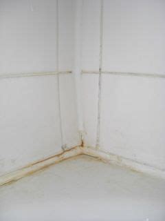 Black mold thrives in warm, humid, and damp areas. Bathroom Mold: Identify, Prevent and Remove Black Mold ...