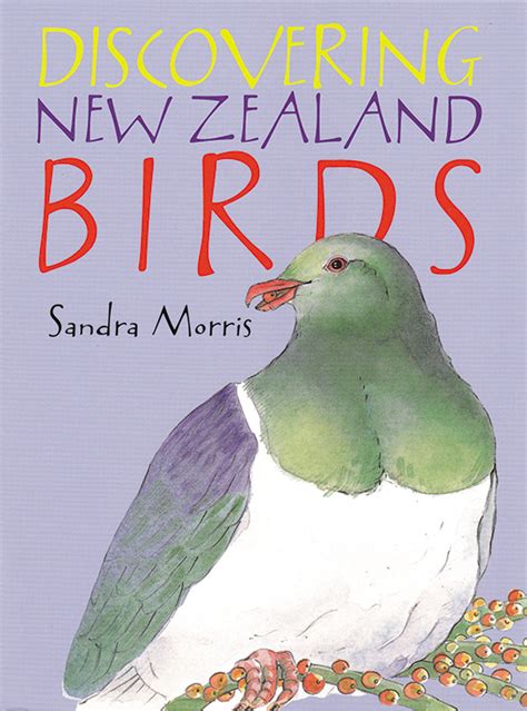 Sandra Morris Aotearoa Artist The New Zealand Artists Magazine