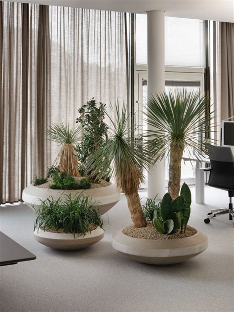 Best Plants For Interior Design Vamos Arema