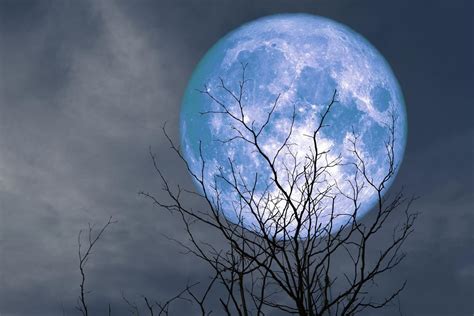 Dont Miss Rare Seasonal Blue Moon Rises Tonight Scitechdaily
