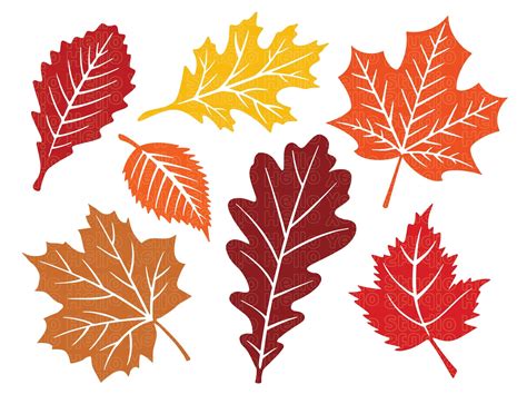 Fall Leaves Svg Fall Svg Fall Leaf Svg Bundle Fall Png Etsy Autumn
