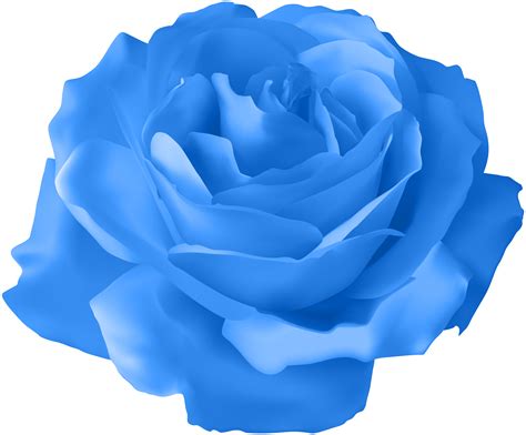 Blue Rose Clipart 20 Free Cliparts Download Images On Clipground 2023