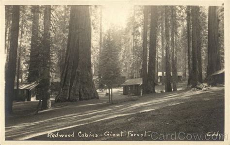 Maybe you would like to learn more about one of these? Redwood Cabins, Giant Forest Sequoia & Kings Canyon ...