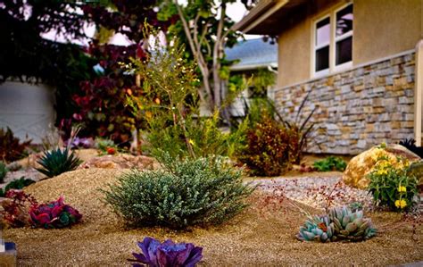 Drought Tolerant Landscape Garden In San Diego Drought Tolerant