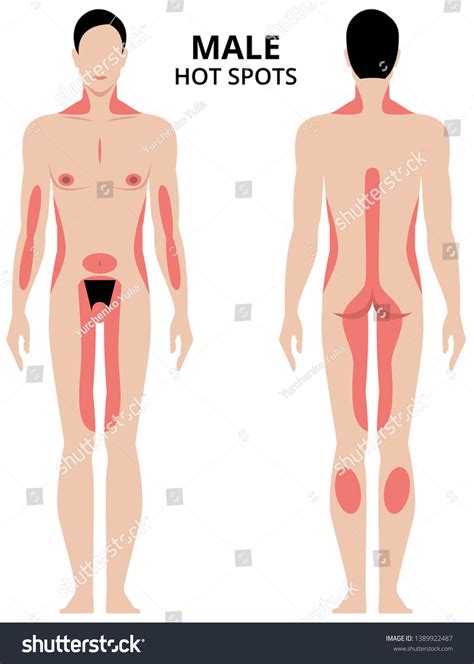 Men S Erogenous Zones Telegraph