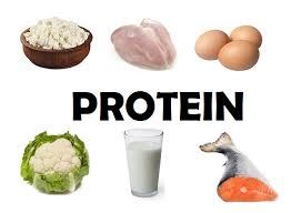Setiap jaringan dan bagian tubuh manusia mengandung protein. stilefreefashion