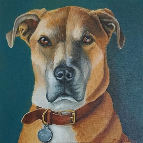 Custom Pet Portraits