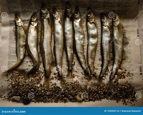 Smoked Marine Capelin Fish Stock Photo Image Of Silver 159028116