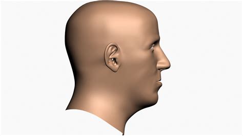 Human Head Profile